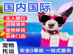 六盘水月照机场快递国际宠物托运 【国